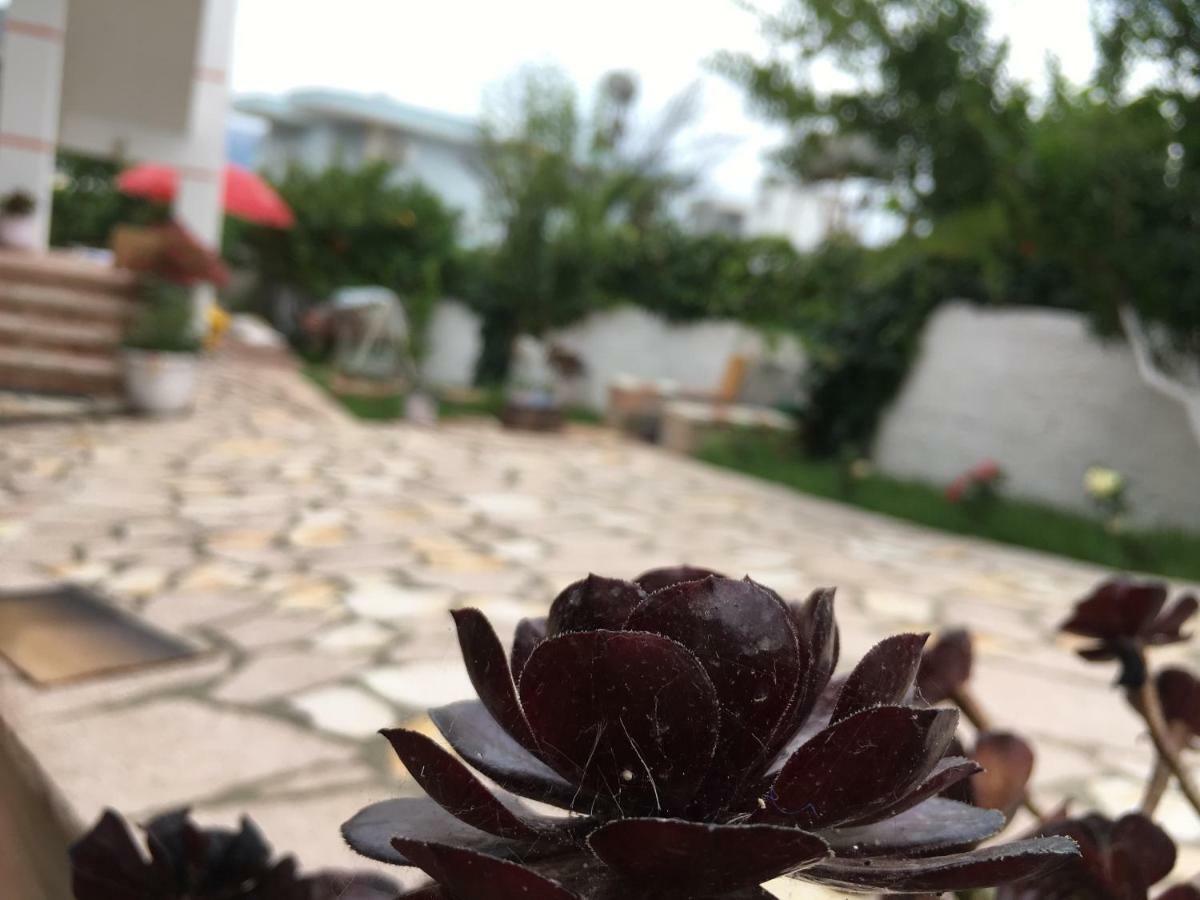 Natural Appartamento Ksamil