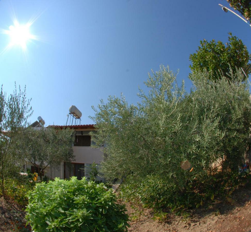 Natural Apartamento